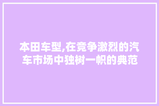 本田车型,在竞争激烈的汽车市场中独树一帜的典范