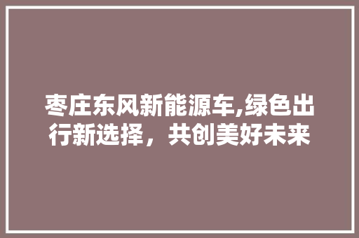 枣庄东风新能源车,绿色出行新选择，共创美好未来