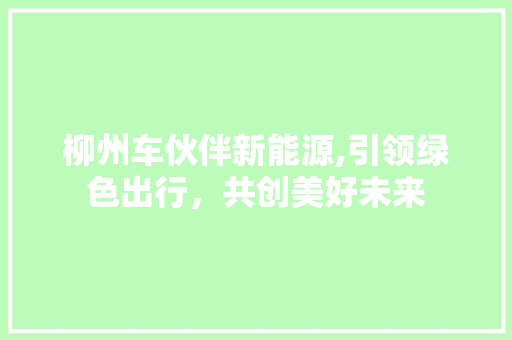 柳州车伙伴新能源,引领绿色出行，共创美好未来