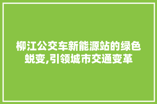 柳江公交车新能源站的绿色蜕变,引领城市交通变革