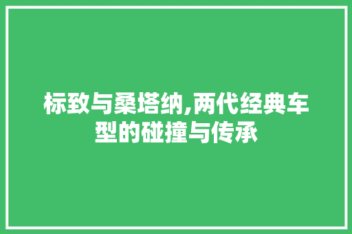标致与桑塔纳,两代经典车型的碰撞与传承