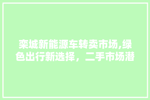 栾城新能源车转卖市场,绿色出行新选择，二手市场潜力无限