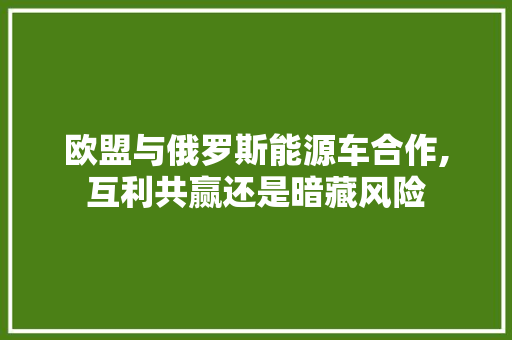 欧盟与俄罗斯能源车合作,互利共赢还是暗藏风险