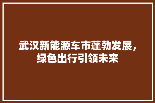 武汉新能源车市蓬勃发展，绿色出行引领未来