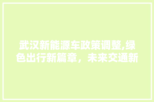 武汉新能源车政策调整,绿色出行新篇章，未来交通新趋势