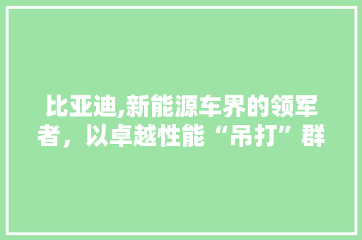 比亚迪,新能源车界的领军者，以卓越性能“吊打”群雄