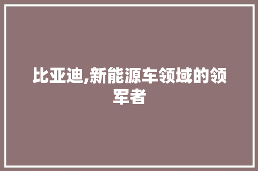 比亚迪,新能源车领域的领军者