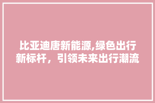 比亚迪唐新能源,绿色出行新标杆，引领未来出行潮流