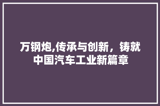 万钢炮,传承与创新，铸就中国汽车工业新篇章