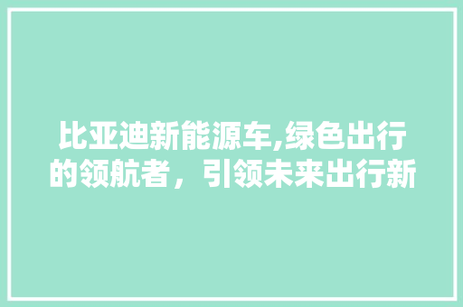 比亚迪新能源车,绿色出行的领航者，引领未来出行新潮流