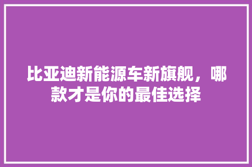 比亚迪新能源车新旗舰，哪款才是你的最佳选择