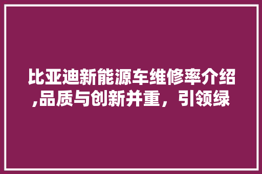 比亚迪新能源车维修率介绍,品质与创新并重，引领绿色出行新潮流