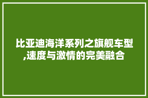 比亚迪海洋系列之旗舰车型,速度与激情的完美融合