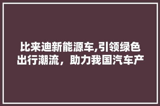 比来迪新能源车,引领绿色出行潮流，助力我国汽车产业转型升级