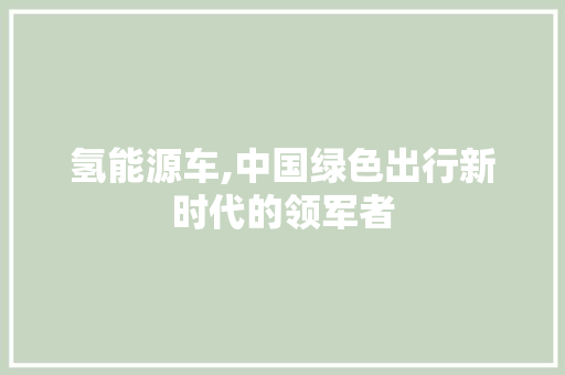 氢能源车,中国绿色出行新时代的领军者