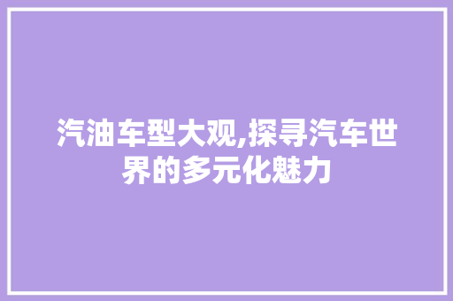 汽油车型大观,探寻汽车世界的多元化魅力