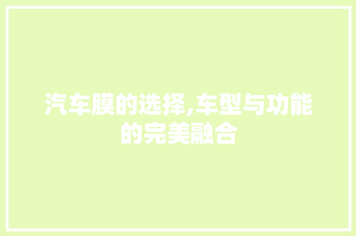 汽车膜的选择,车型与功能的完美融合
