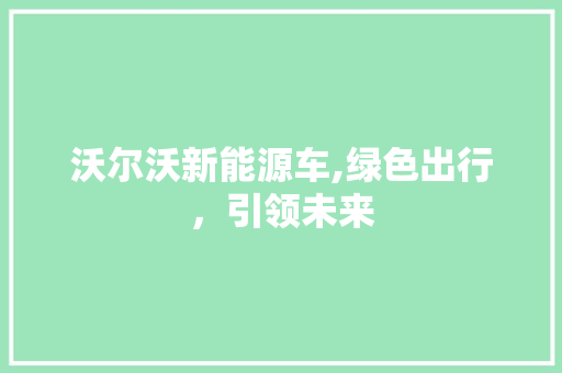 沃尔沃新能源车,绿色出行，引领未来