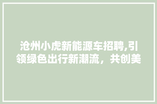 沧州小虎新能源车招聘,引领绿色出行新潮流，共创美好未来