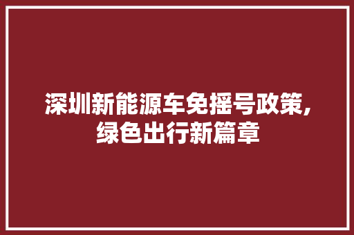 深圳新能源车免摇号政策,绿色出行新篇章