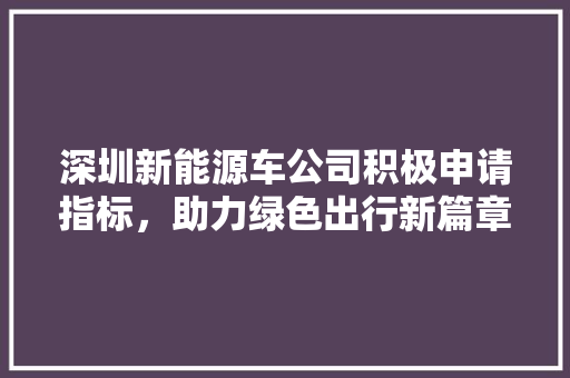 深圳新能源车公司积极申请指标，助力绿色出行新篇章