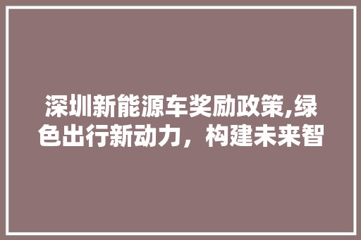 深圳新能源车奖励政策,绿色出行新动力，构建未来智慧城市