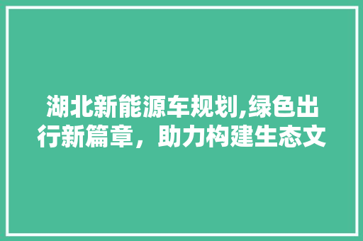 湖北新能源车规划,绿色出行新篇章，助力构建生态文明新格局