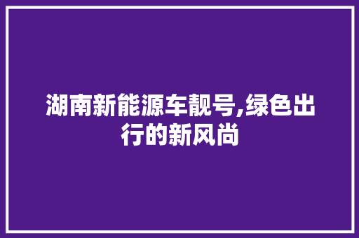 湖南新能源车靓号,绿色出行的新风尚