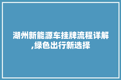 湖州新能源车挂牌流程详解,绿色出行新选择