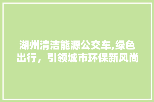 湖州清洁能源公交车,绿色出行，引领城市环保新风尚