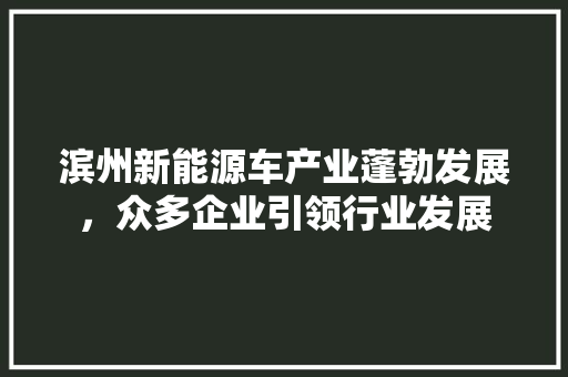 滨州新能源车产业蓬勃发展，众多企业引领行业发展