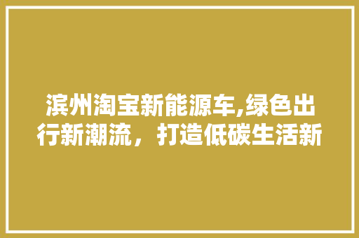 滨州淘宝新能源车,绿色出行新潮流，打造低碳生活新标杆