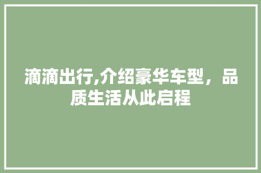 滴滴出行,介绍豪华车型，品质生活从此启程