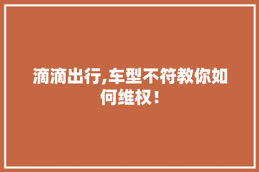 滴滴出行,车型不符教你如何维权！