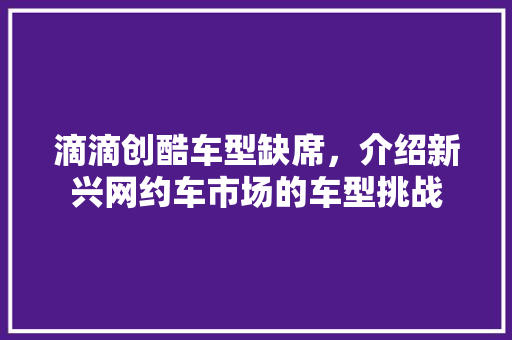 滴滴创酷车型缺席，介绍新兴网约车市场的车型挑战