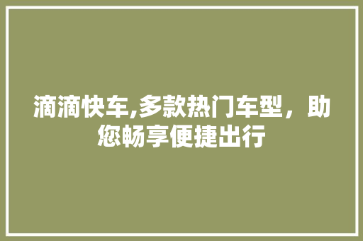 滴滴快车,多款热门车型，助您畅享便捷出行