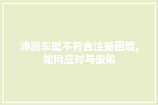 滴滴车型不符合注册困境,如何应对与破解