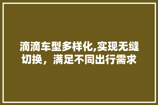 滴滴车型多样化,实现无缝切换，满足不同出行需求