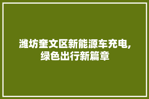 潍坊奎文区新能源车充电,绿色出行新篇章
