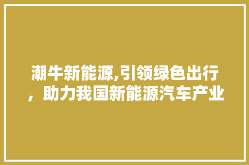 潮牛新能源,引领绿色出行，助力我国新能源汽车产业腾飞