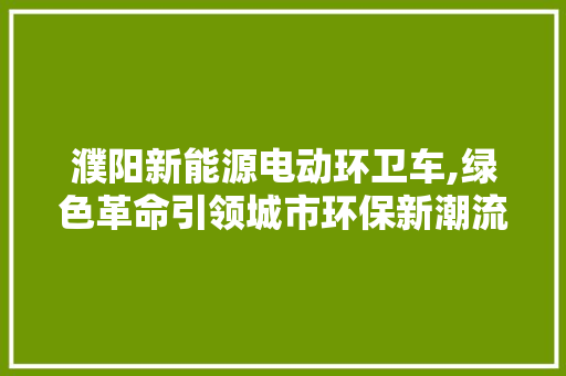 濮阳新能源电动环卫车,绿色革命引领城市环保新潮流