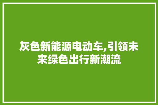 灰色新能源电动车,引领未来绿色出行新潮流