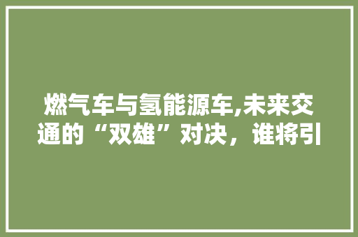 燃气车与氢能源车,未来交通的“双雄”对决，谁将引领绿色出行新潮流