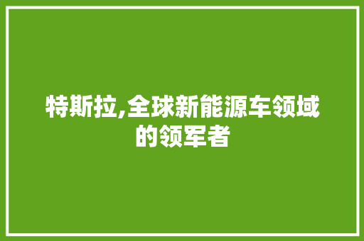 特斯拉,全球新能源车领域的领军者