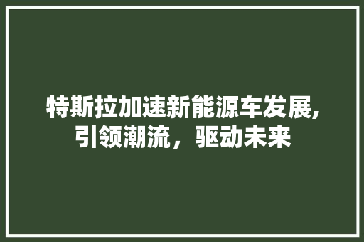 特斯拉加速新能源车发展,引领潮流，驱动未来
