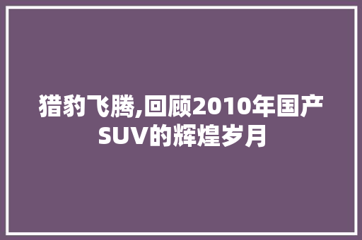 猎豹飞腾,回顾2010年国产SUV的辉煌岁月