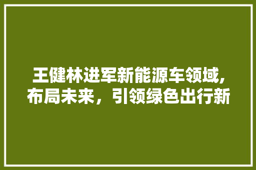 王健林进军新能源车领域,布局未来，引领绿色出行新潮流