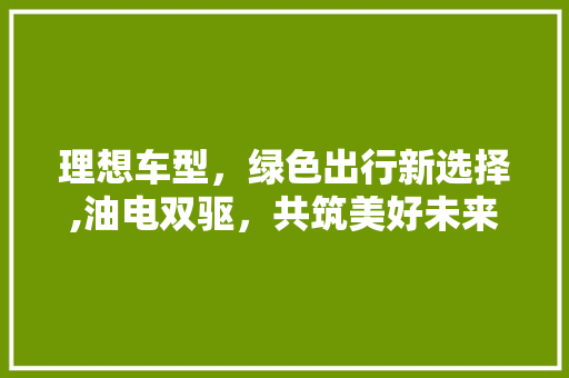 理想车型，绿色出行新选择,油电双驱，共筑美好未来