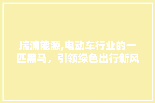 瑞浦能源,电动车行业的一匹黑马，引领绿色出行新风尚