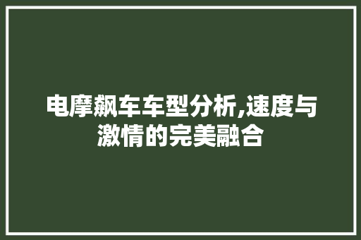 电摩飙车车型分析,速度与激情的完美融合